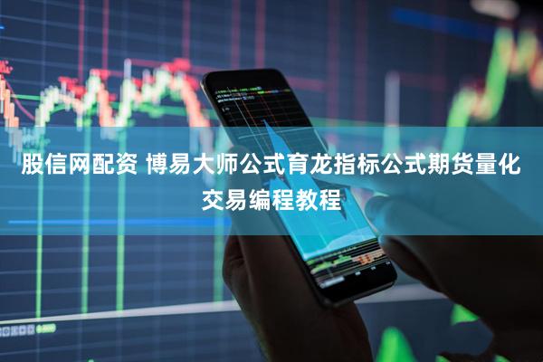 股信网配资 博易大师公式育龙指标公式期货量化交易编程教程