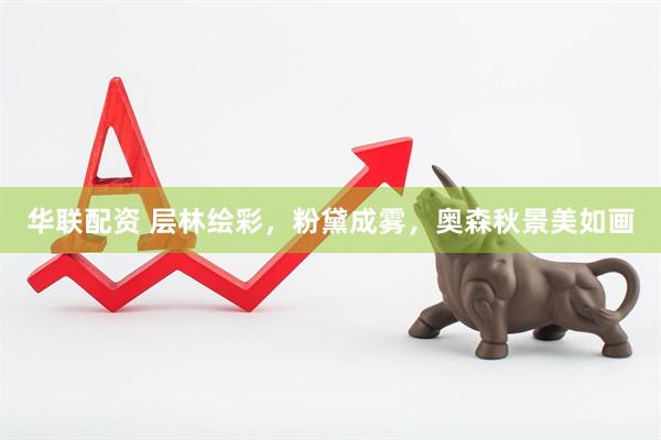 华联配资 层林绘彩，粉黛成雾，奥森秋景美如画