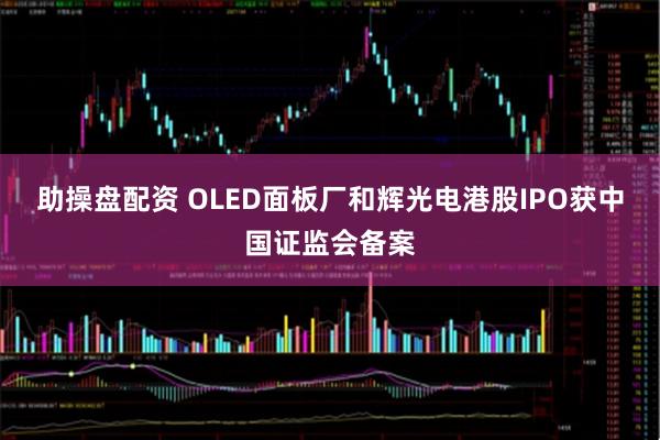 助操盘配资 OLED面板厂和辉光电港股IPO获中国证监会备案